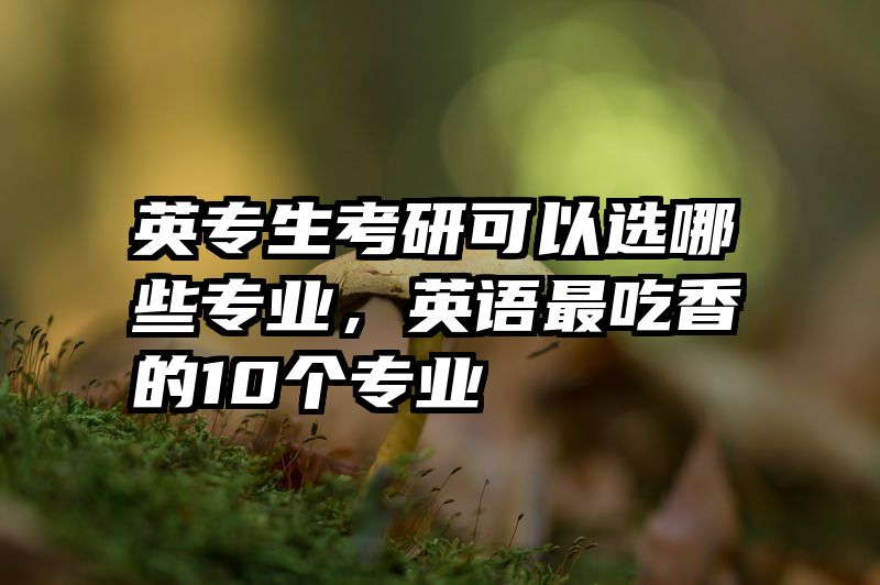 英专生考研可以选哪些专业，英语最吃香的10个专业