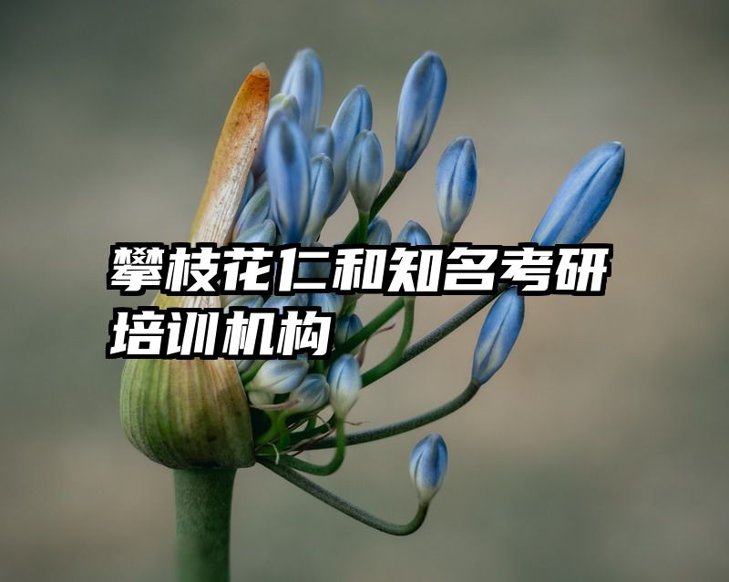 攀枝花仁和知名考研培训机构