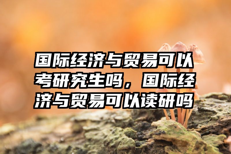 国际经济与贸易可以考研究生吗，国际经济与贸易可以读研吗