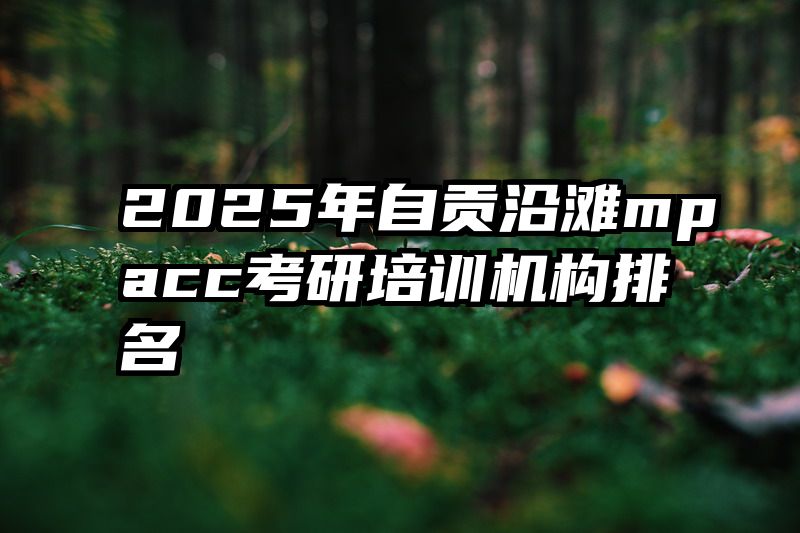2025年自贡沿滩mpacc考研培训机构排名
