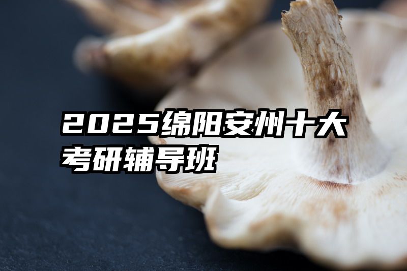2025绵阳安州十大考研辅导班