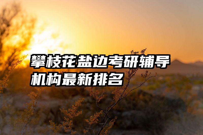 攀枝花盐边考研辅导机构最新排名