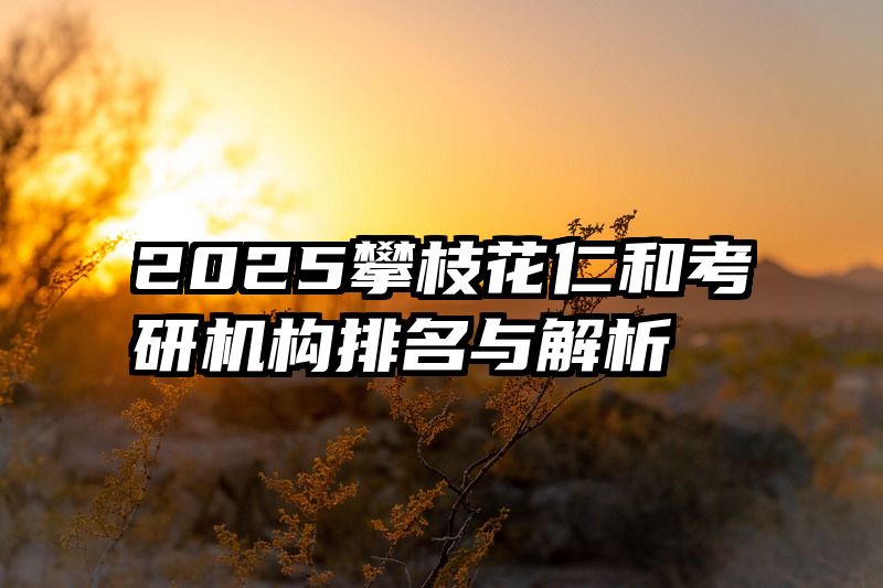 2025攀枝花仁和考研机构排名与解析