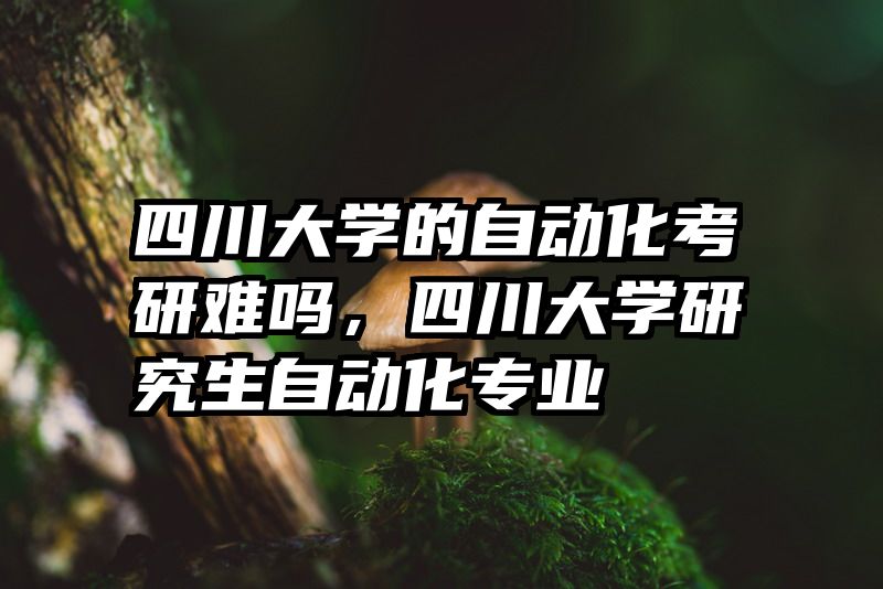 四川大学的自动化考研难吗，四川大学研究生自动化专业