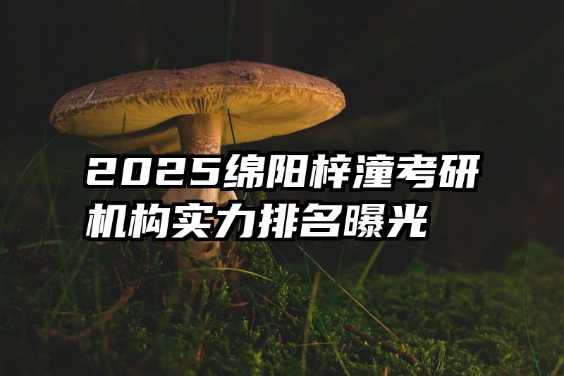 2025绵阳梓潼考研机构实力排名曝光