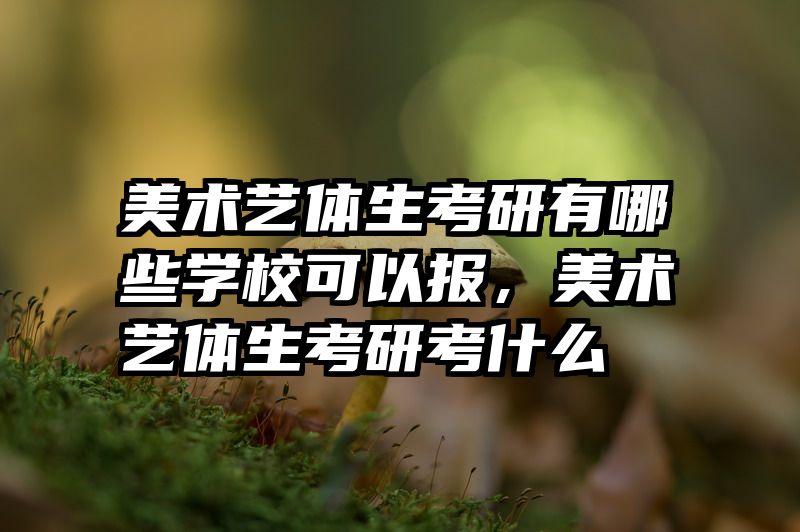 美术艺体生考研有哪些学校可以报，美术艺体生考研考什么
