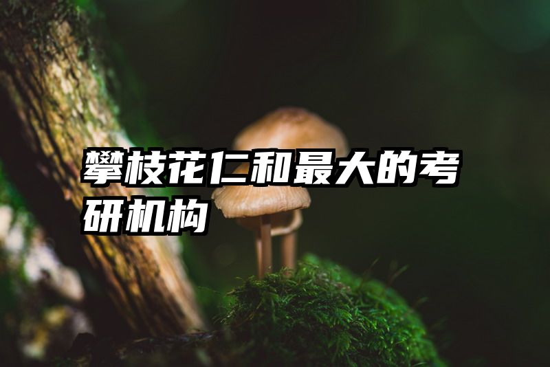 攀枝花仁和最大的考研机构