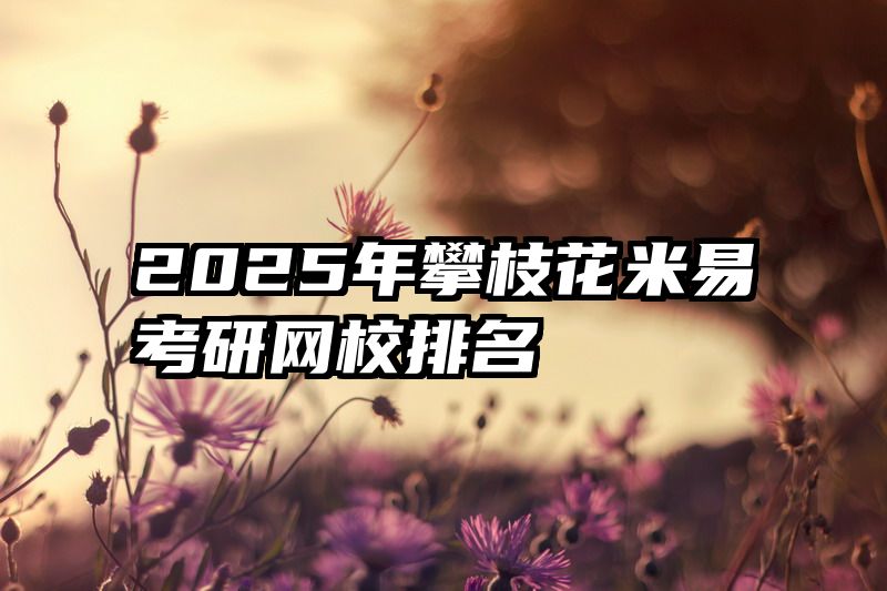 2025年攀枝花米易考研网校排名