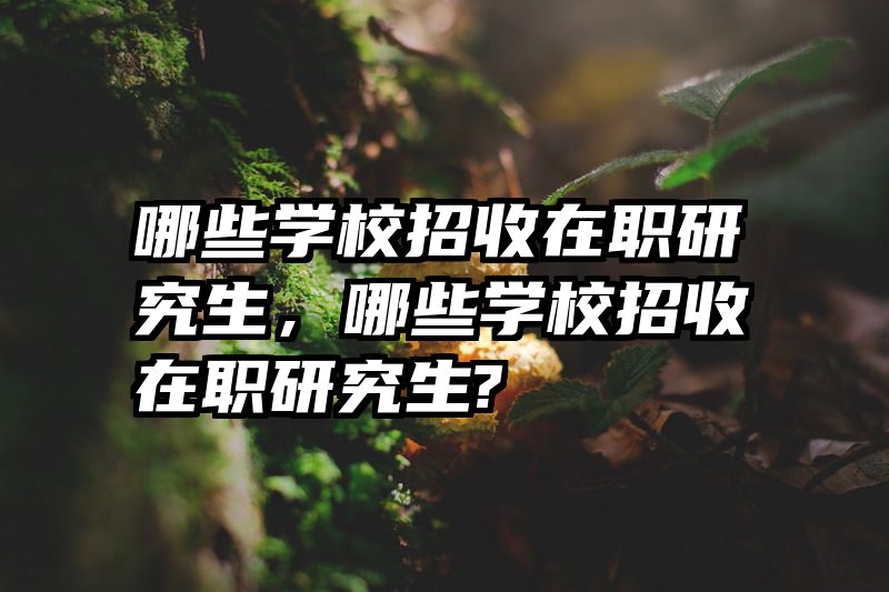 哪些学校招收在职研究生，哪些学校招收在职研究生?