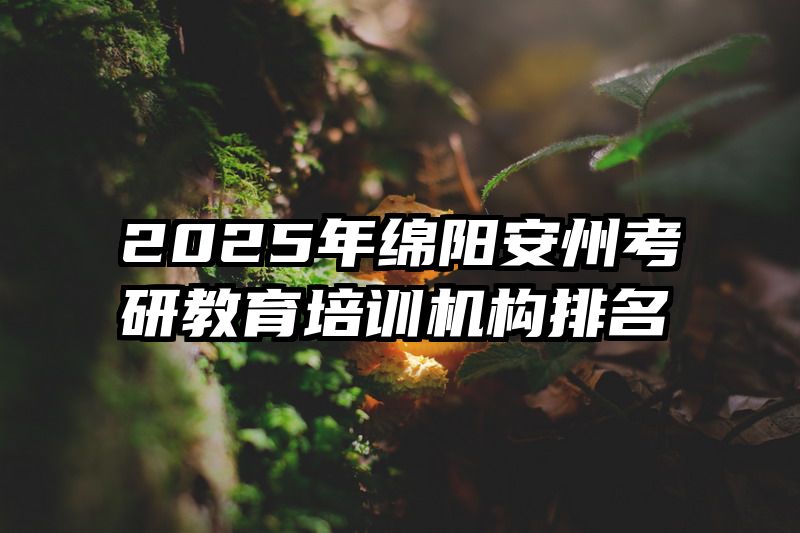 2025年绵阳安州考研教育培训机构排名
