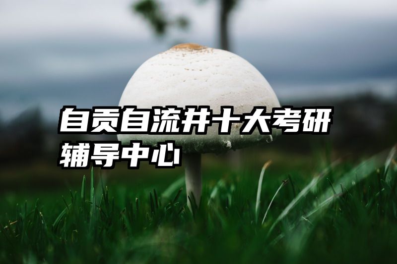 自贡自流井十大考研辅导中心