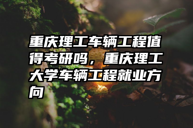 重庆理工车辆工程值得考研吗，重庆理工大学车辆工程就业方向