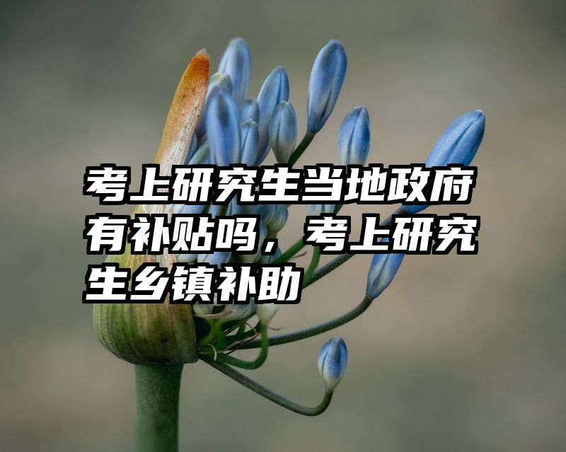 考上研究生当地政府有补贴吗，考上研究生乡镇补助
