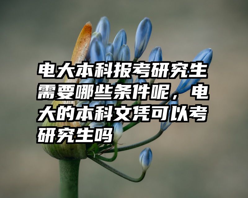 电大本科报考研究生需要哪些条件呢，电大的本科文凭可以考研究生吗