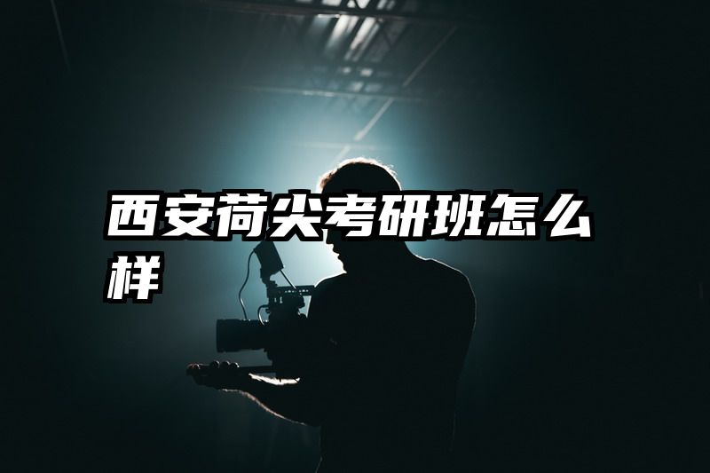 西安荷尖考研班怎么样