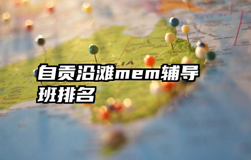 自贡沿滩mem辅导班排名