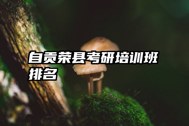 自贡荣县考研培训班排名