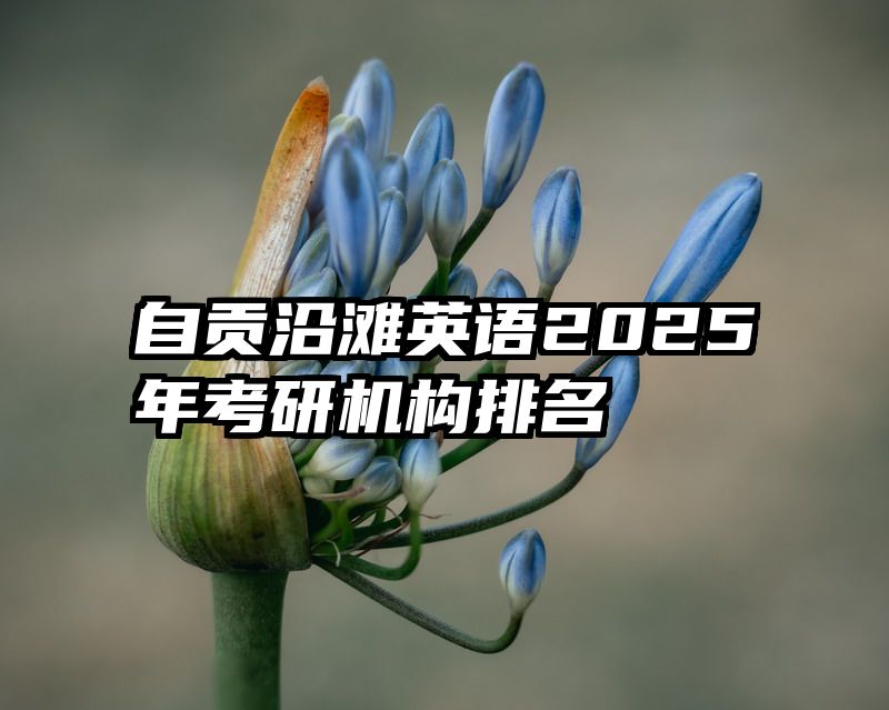 自贡沿滩英语2025年考研机构排名