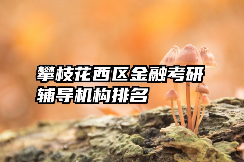 攀枝花西区金融考研辅导机构排名