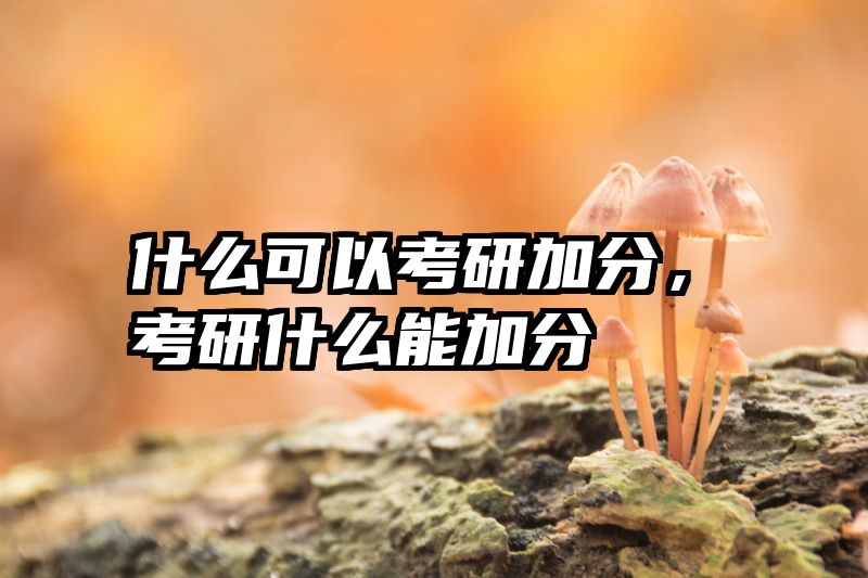 什么可以考研加分，考研什么能加分