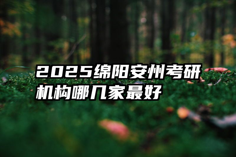 2025绵阳安州考研机构哪几家最好