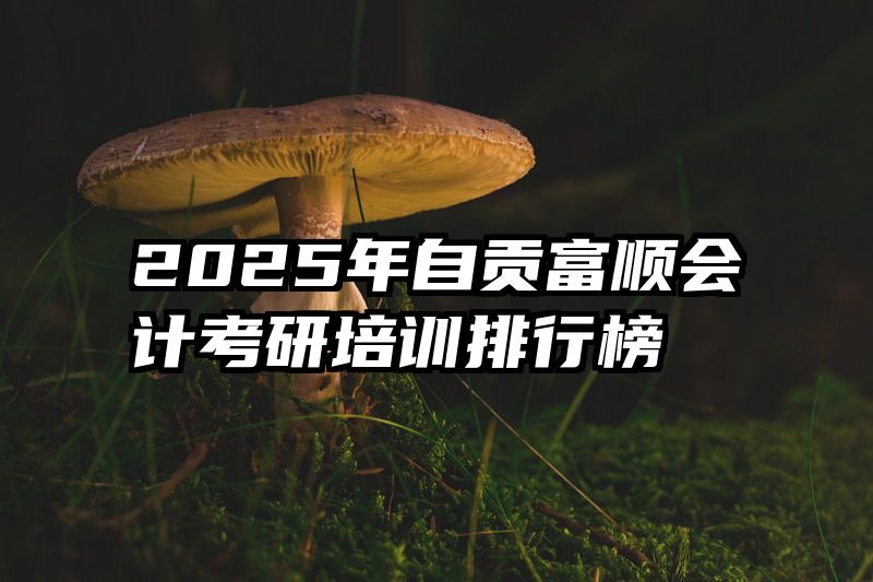 2025年自贡富顺会计考研培训排行榜