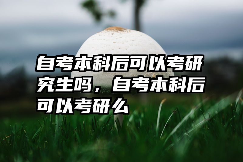 自考本科后可以考研究生吗，自考本科后可以考研么