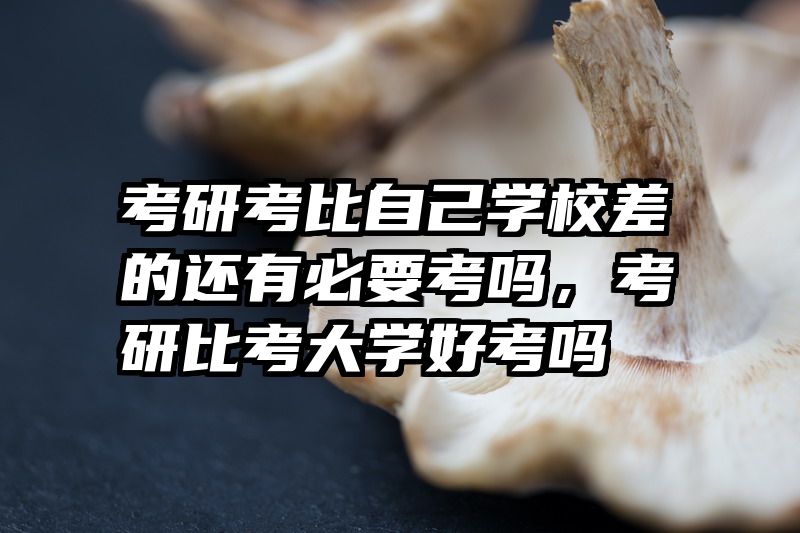 考研考比自己学校差的还有必要考吗，考研比考大学好考吗