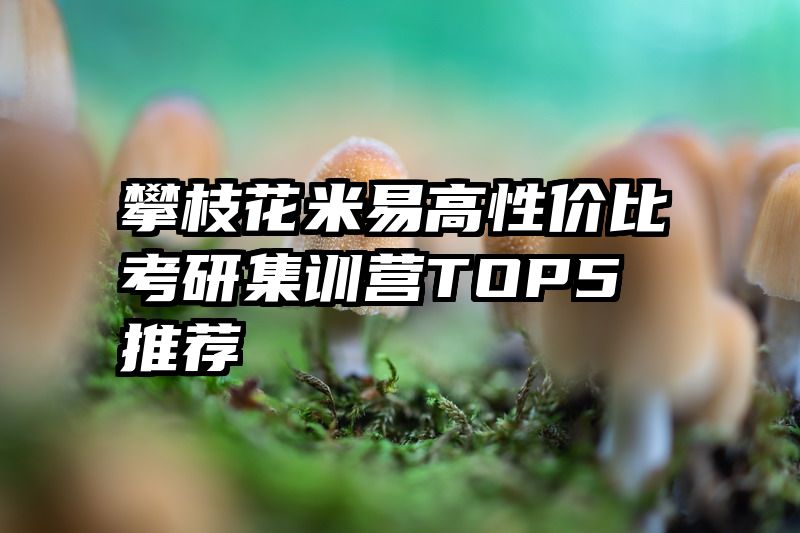 攀枝花米易高性价比考研集训营TOP5推荐