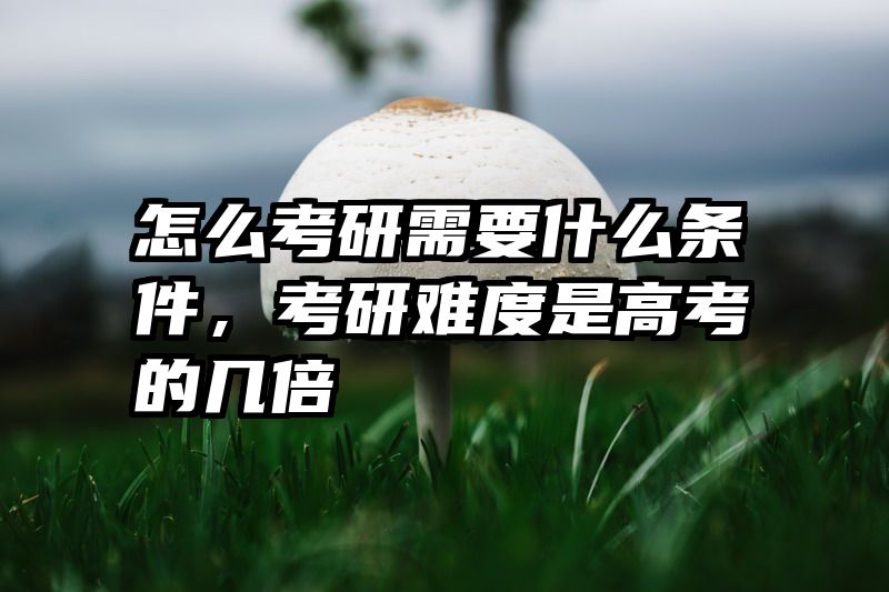 怎么考研需要什么条件，考研难度是高考的几倍