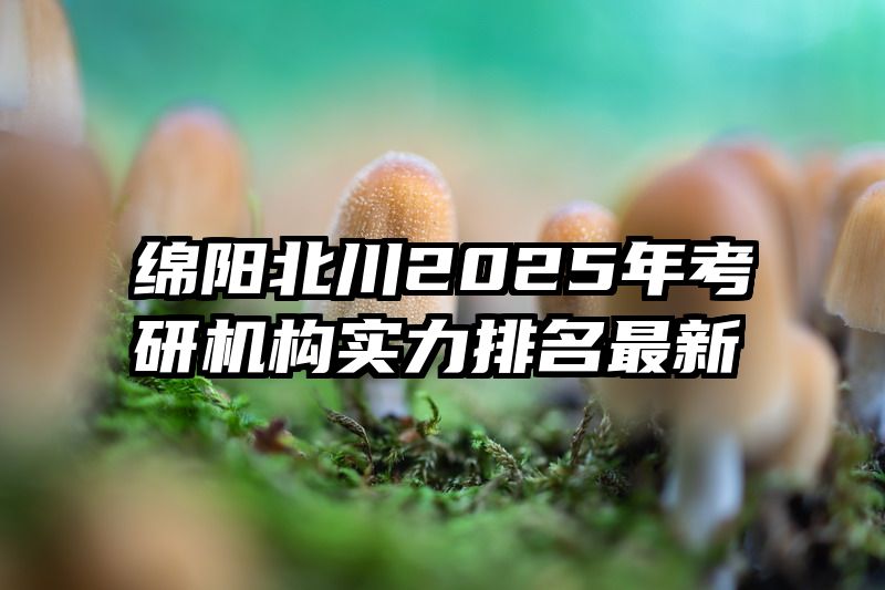 绵阳北川2025年考研机构实力排名最新
