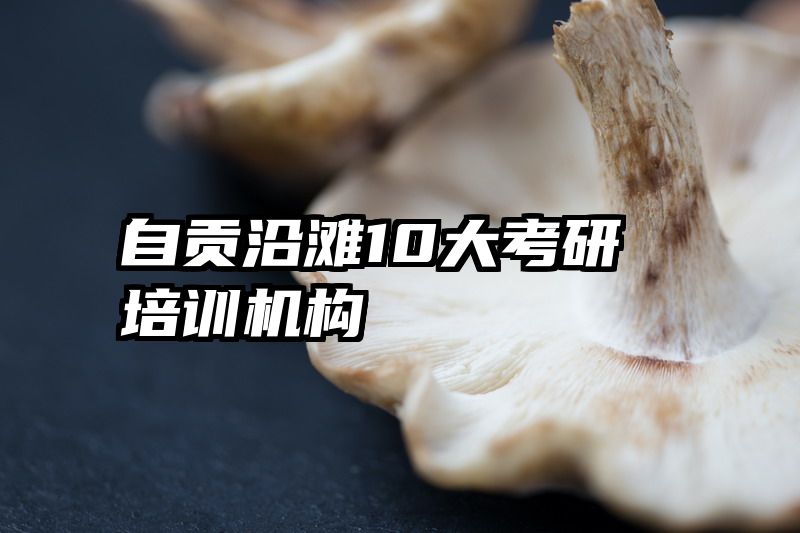 自贡沿滩10大考研培训机构