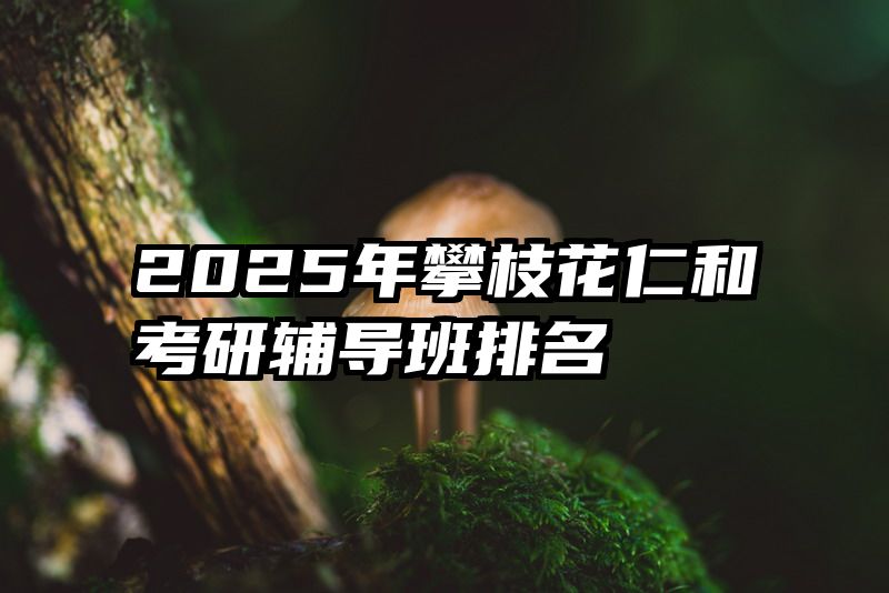 2025年攀枝花仁和考研辅导班排名