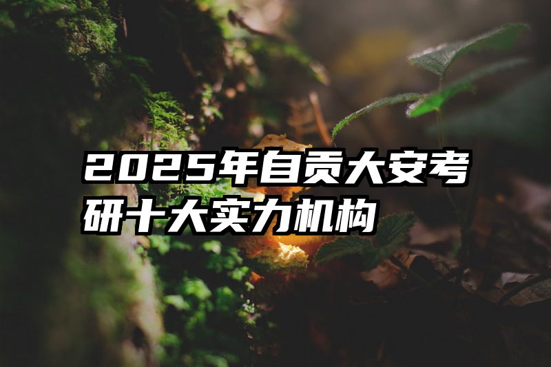 2025年自贡大安考研十大实力机构