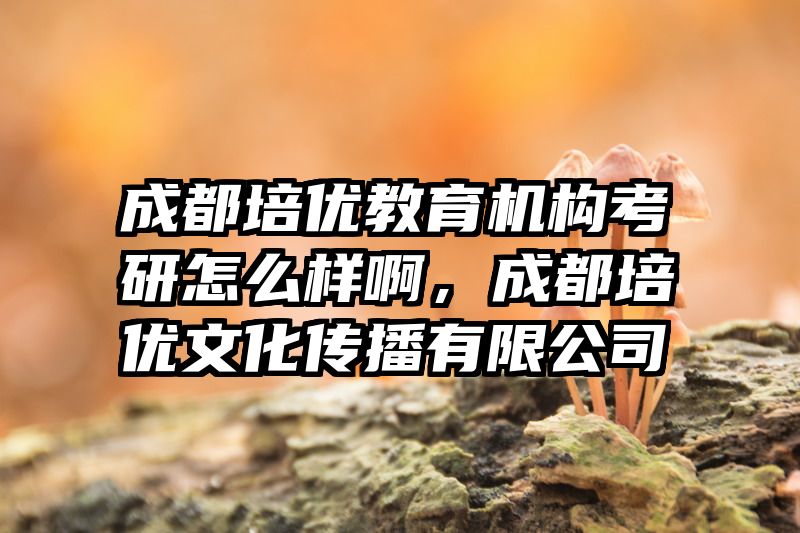 成都培优教育机构考研怎么样啊，成都培优文化传播有限公司