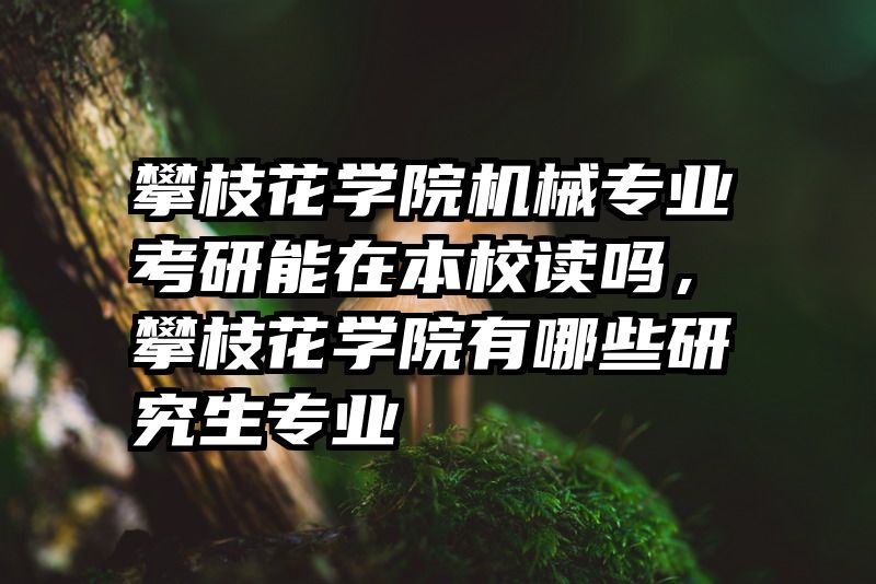 攀枝花学院机械专业考研能在本校读吗，攀枝花学院有哪些研究生专业
