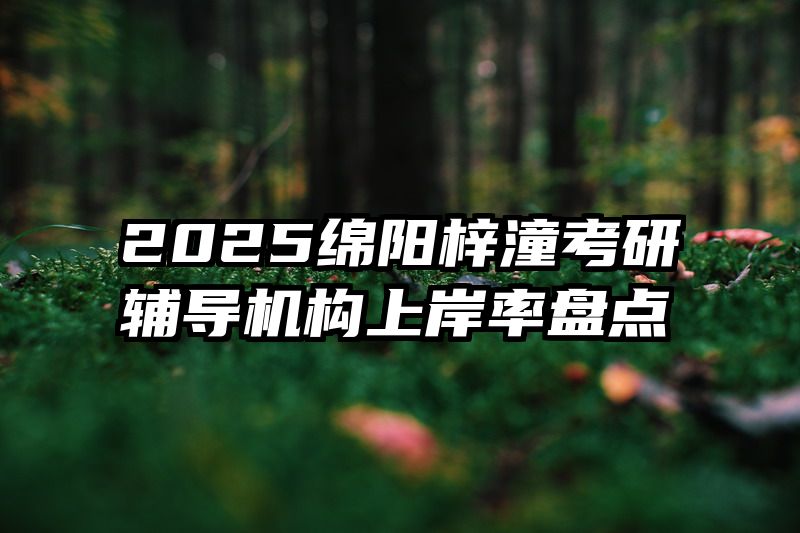 2025绵阳梓潼考研辅导机构上岸率盘点