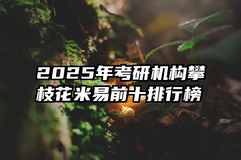 2025年考研机构攀枝花米易前十排行榜