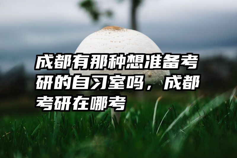 成都有那种想准备考研的自习室吗，成都考研在哪考