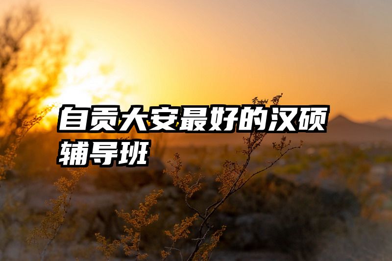 自贡大安最好的汉硕辅导班