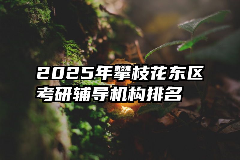 2025年攀枝花东区考研辅导机构排名