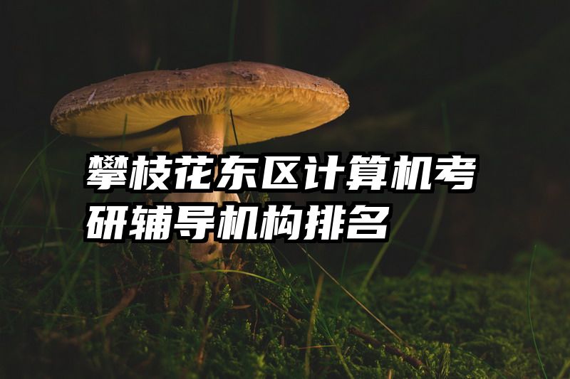 攀枝花东区计算机考研辅导机构排名