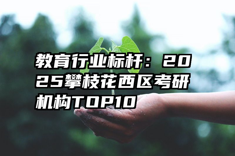教育行业标杆：2025攀枝花西区考研机构TOP10