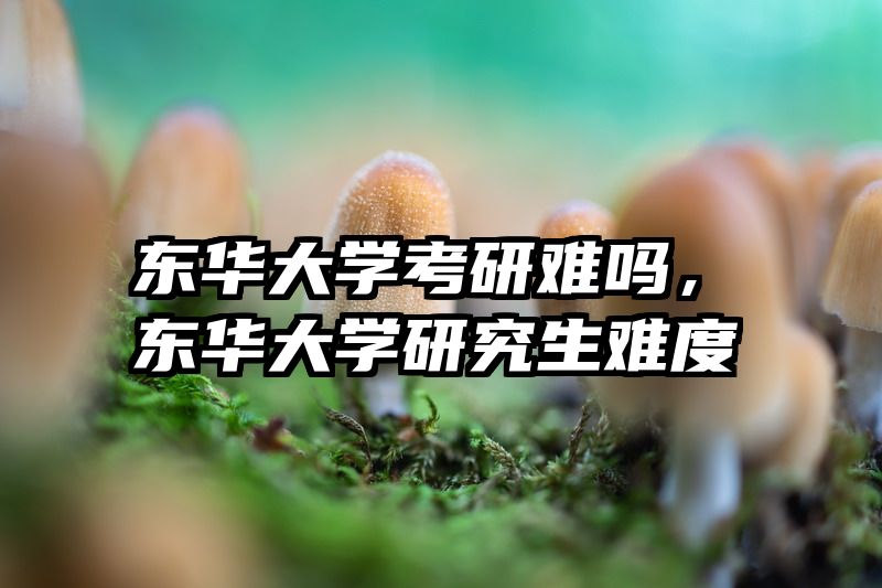 东华大学考研难吗，东华大学研究生难度