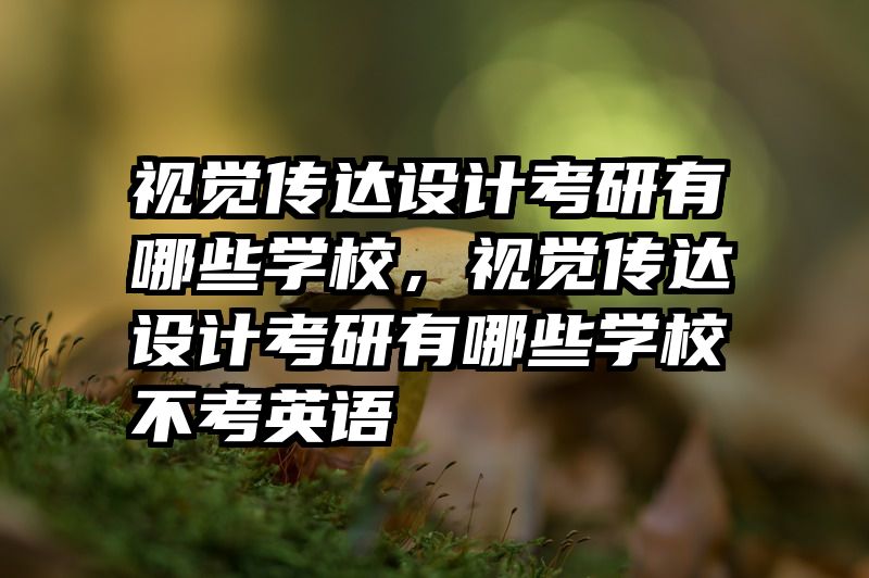 视觉传达设计考研有哪些学校，视觉传达设计考研有哪些学校不考英语