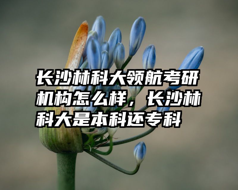 长沙林科大领航考研机构怎么样，长沙林科大是本科还专科
