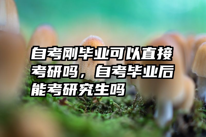 自考刚毕业可以直接考研吗，自考毕业后能考研究生吗