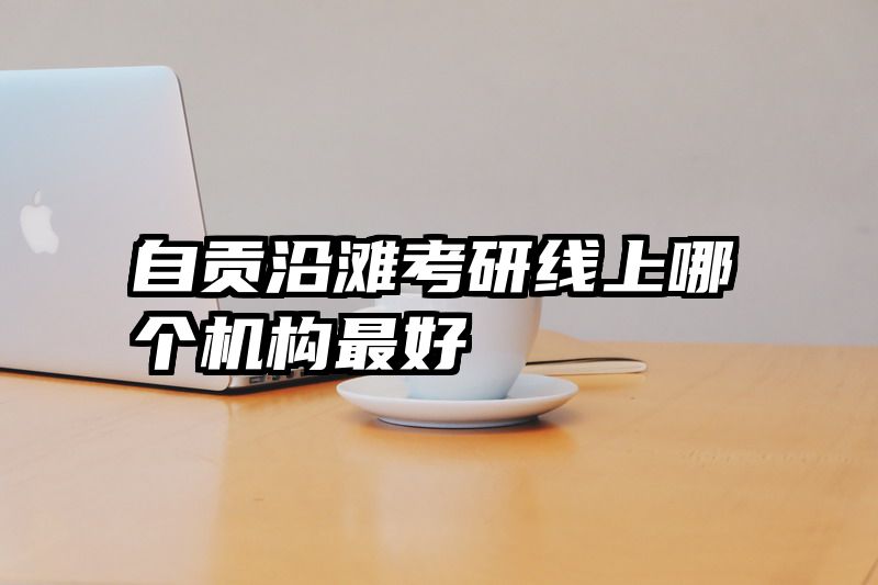 自贡沿滩考研线上哪个机构最好