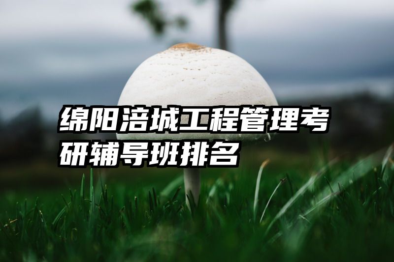 绵阳涪城工程管理考研辅导班排名