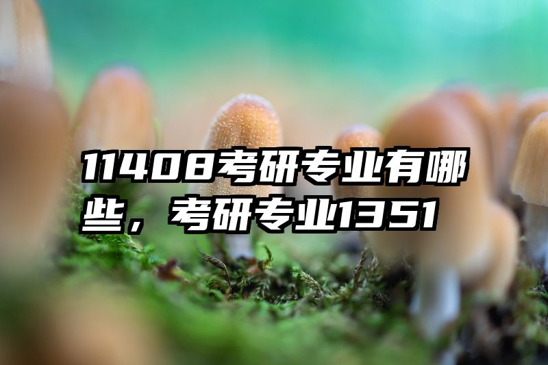 11408考研专业有哪些，考研专业1351